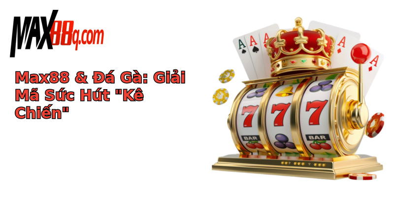 Đá Gà - Max88 Khám Phá Thế Giới Kê Chiến Hấp Dẫn 1 max88 a ga giai ma suc hut ke chien