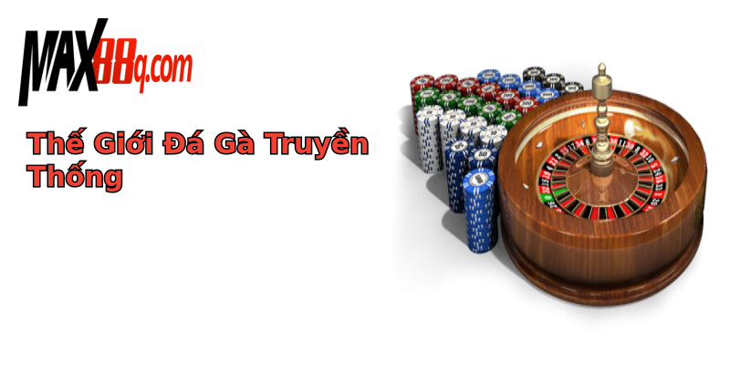 Thế Giới Đá Gà Truyền Thống Thế Giới Đá Gà Truyền Thống